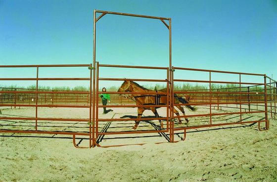 Galvanized Steel Metal Farm Gate Powder Coated Livestock Horse Corral Fencing