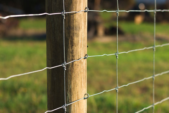 High Tensile Fixed Knot Fence Grassland Deer Farm Hot Dipped Galvanized